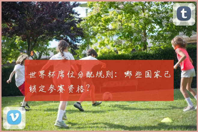 世界杯席位分配规则：哪些国家已锁定参赛资格？